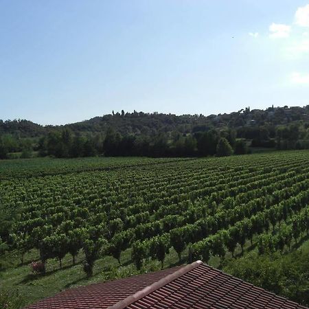 Il Vigneto Affittacamere Манерба-дель-Гарда Екстер'єр фото