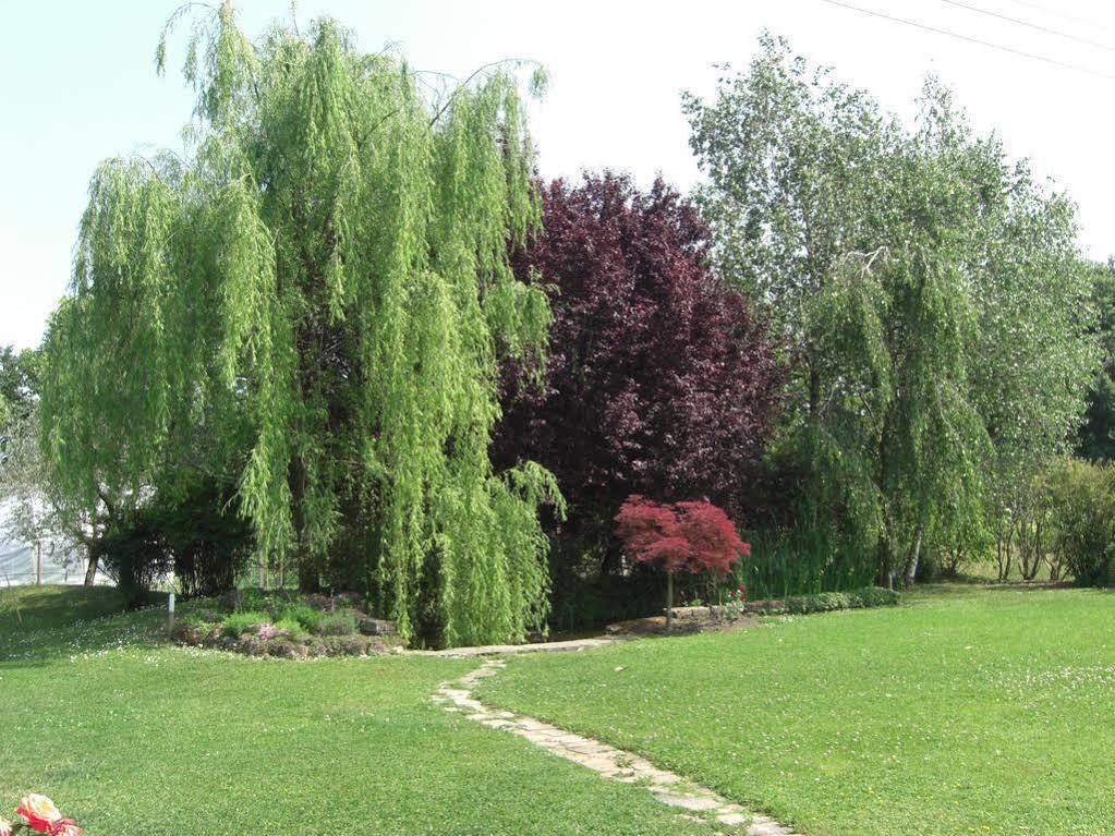 Il Vigneto Affittacamere Манерба-дель-Гарда Екстер'єр фото