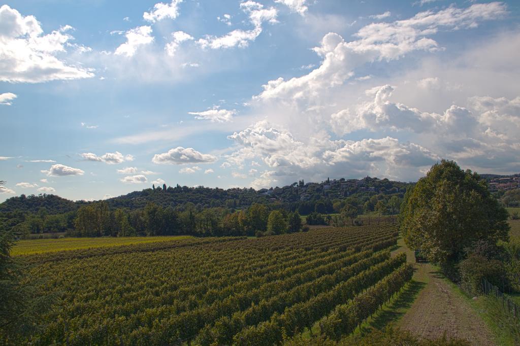 Il Vigneto Affittacamere Манерба-дель-Гарда Екстер'єр фото